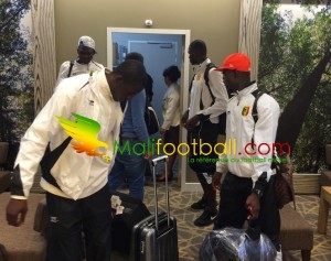 aigles locaux meudon